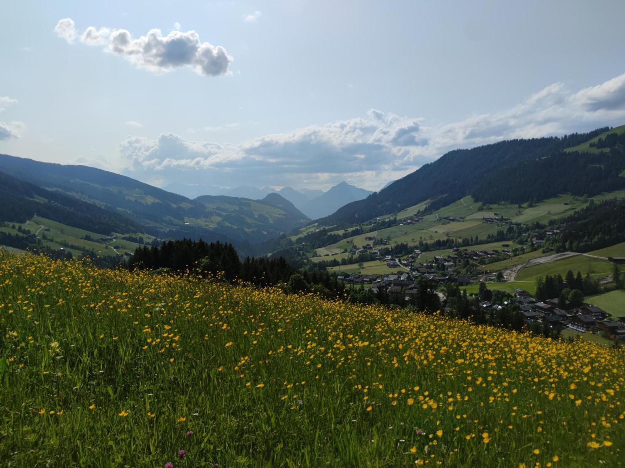 Chalet Mountain View Alpbach Luaran gambar