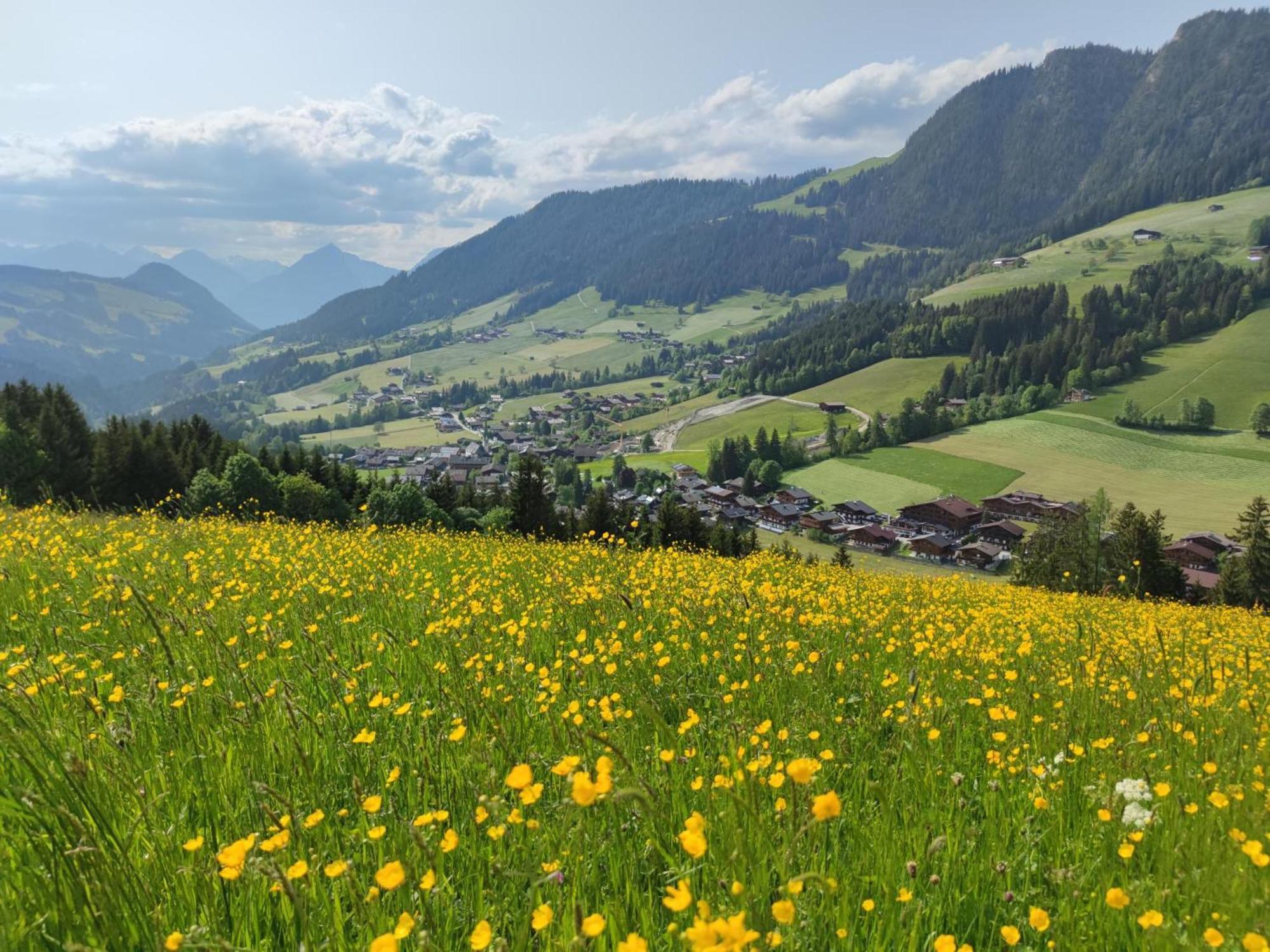 Chalet Mountain View Alpbach Luaran gambar